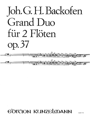 Grand duo for 2 flutes