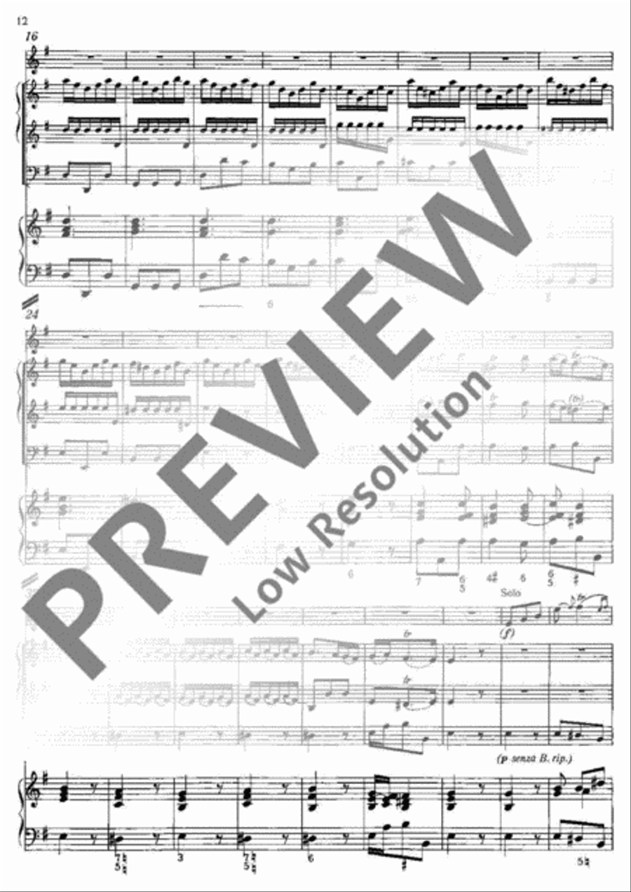Concerto E minor Concerto E minor Flute Solo scores gallery preview page 13