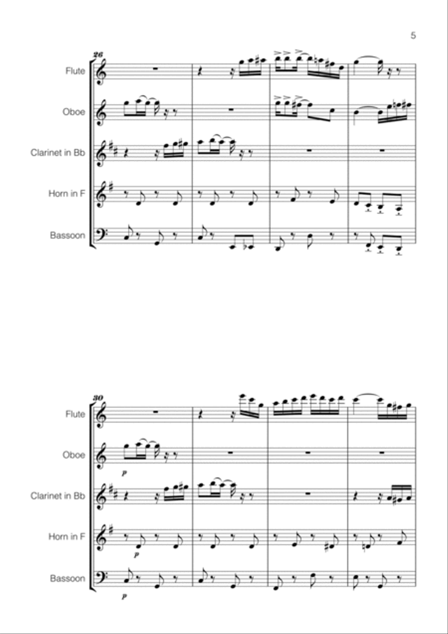 Scott Joplin - The Entertainer for Wind Quintet Woodwind Quintet scores gallery preview page 5