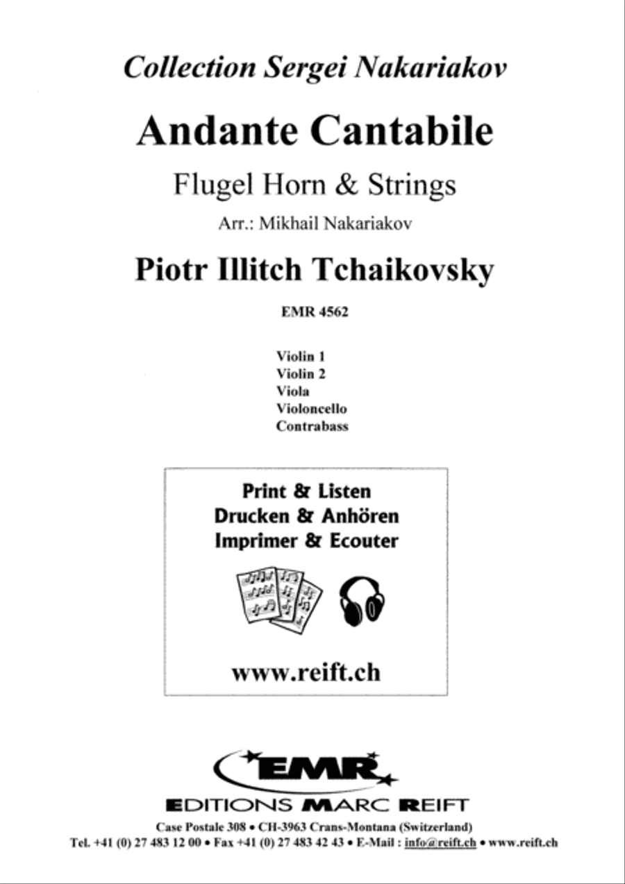 Andante Cantabile String Orchestra scores gallery preview page 2