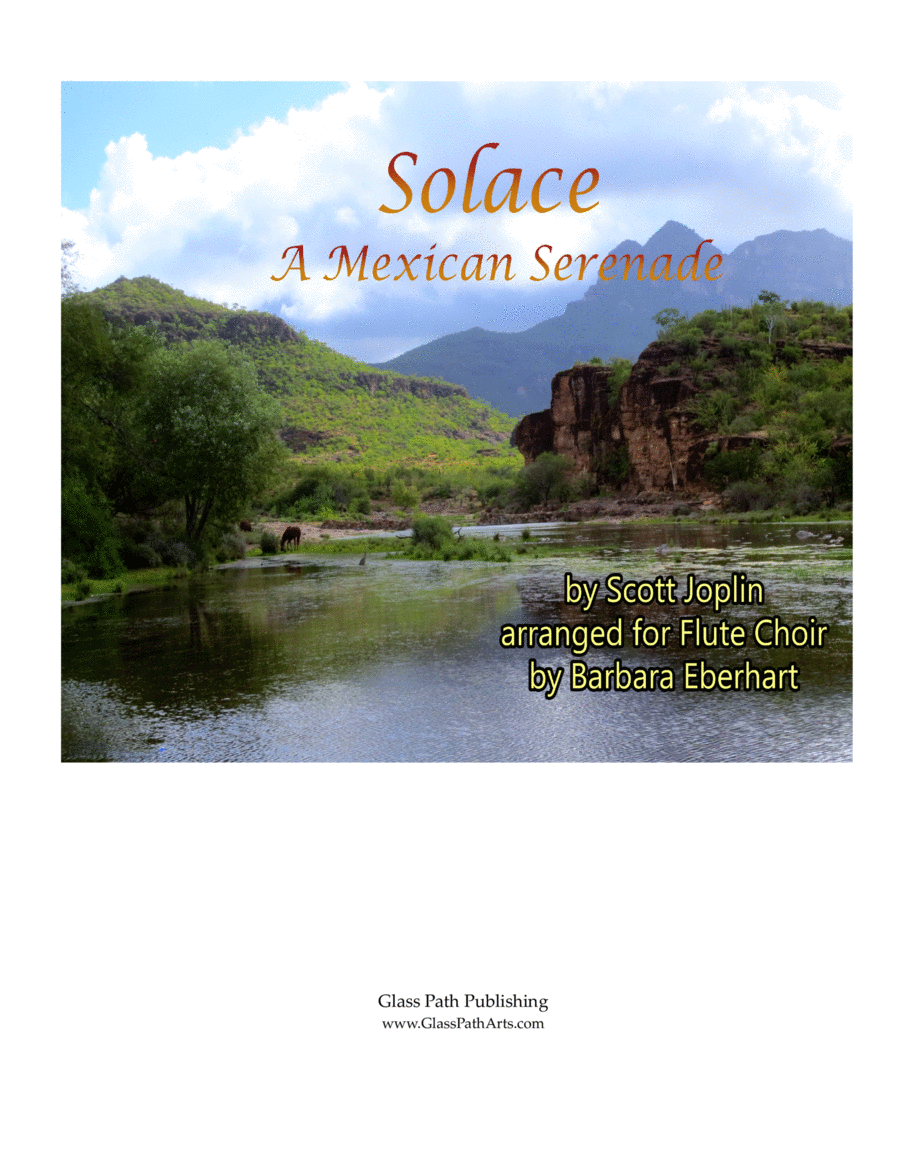 Solace image number null