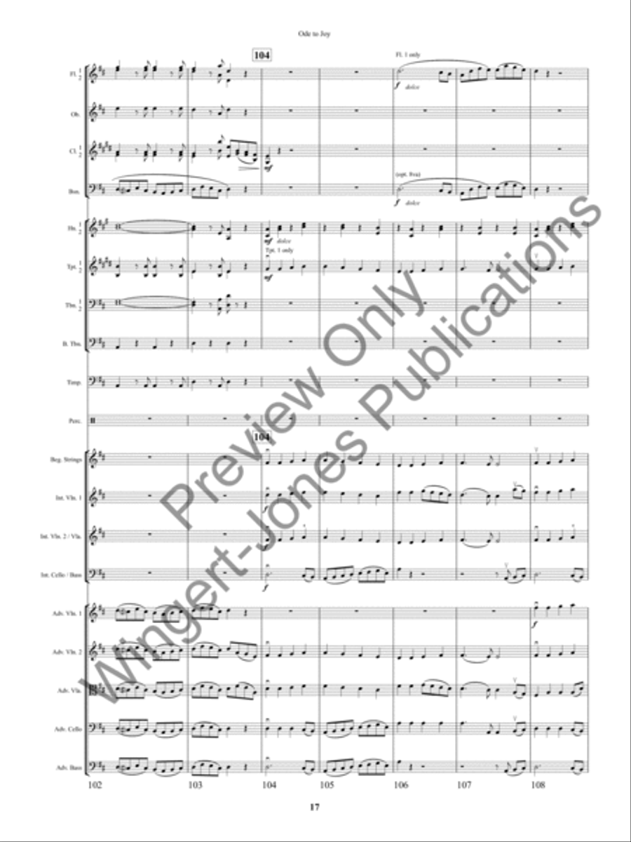 An Ode to Joy Festival Full Orchestra scores gallery preview page 20