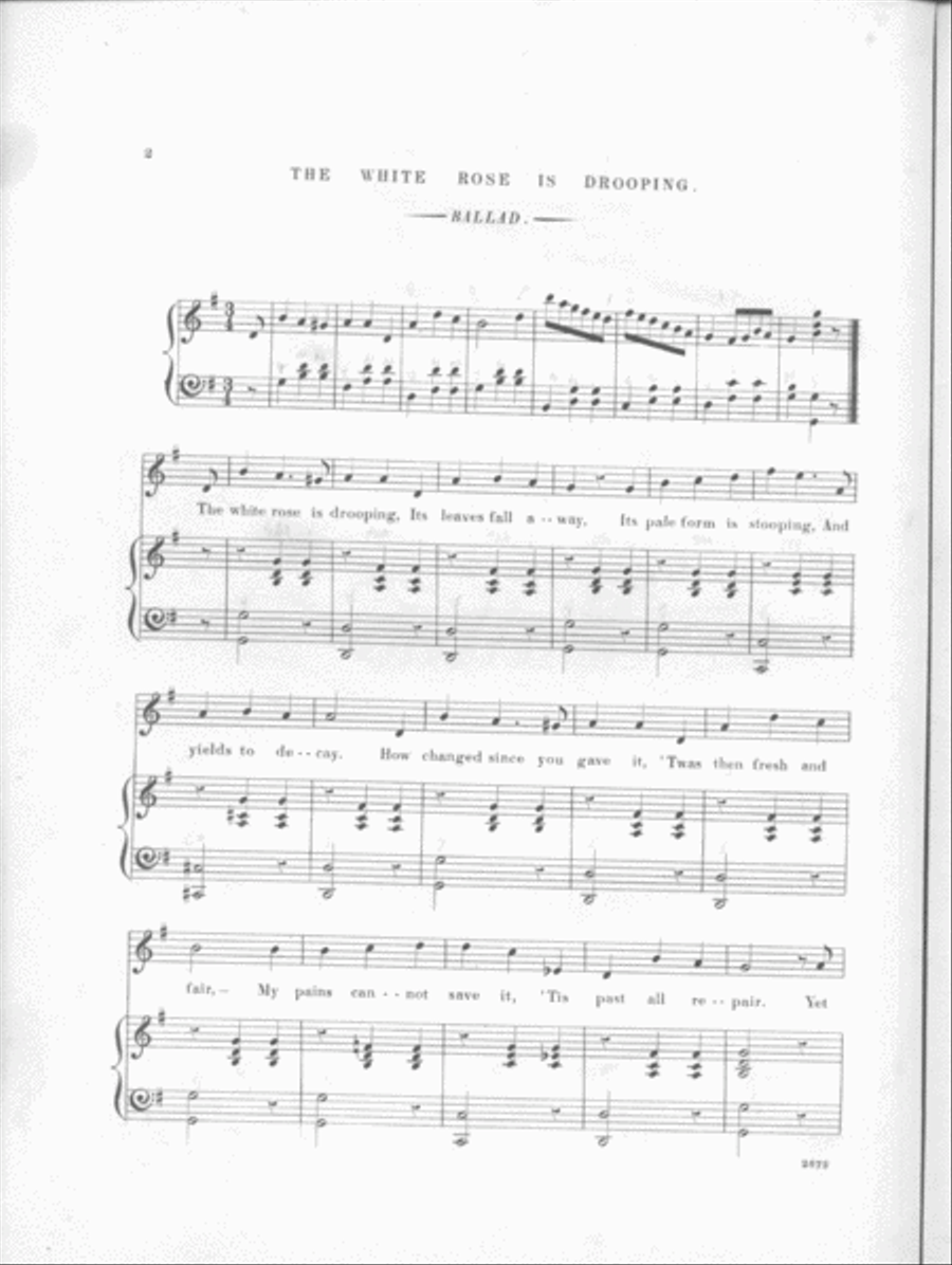 The White Rose is Drooping. Ballad Voice scores gallery preview page 2