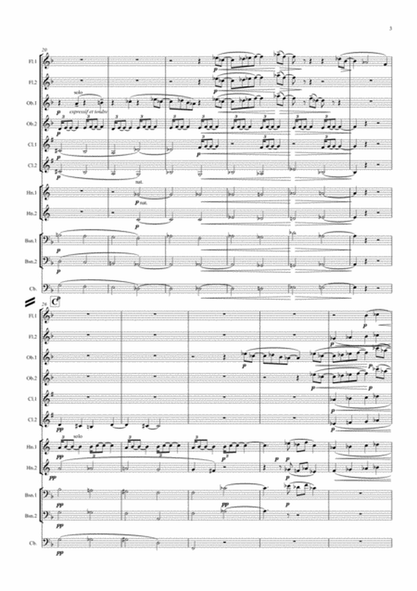 Debussy: Piano Preludes Bk.1 No.6 "Des pas sur la neige" - symphonic wind image number null