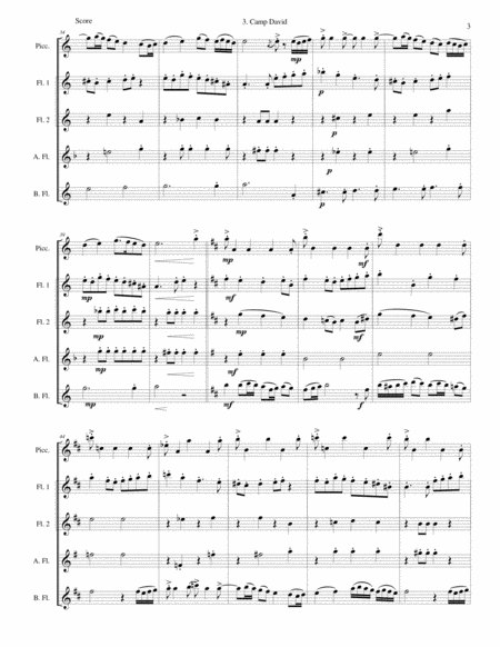 Camp David for flute quintet (piccolo, 2 flutes, alto flute and bass flute) image number null