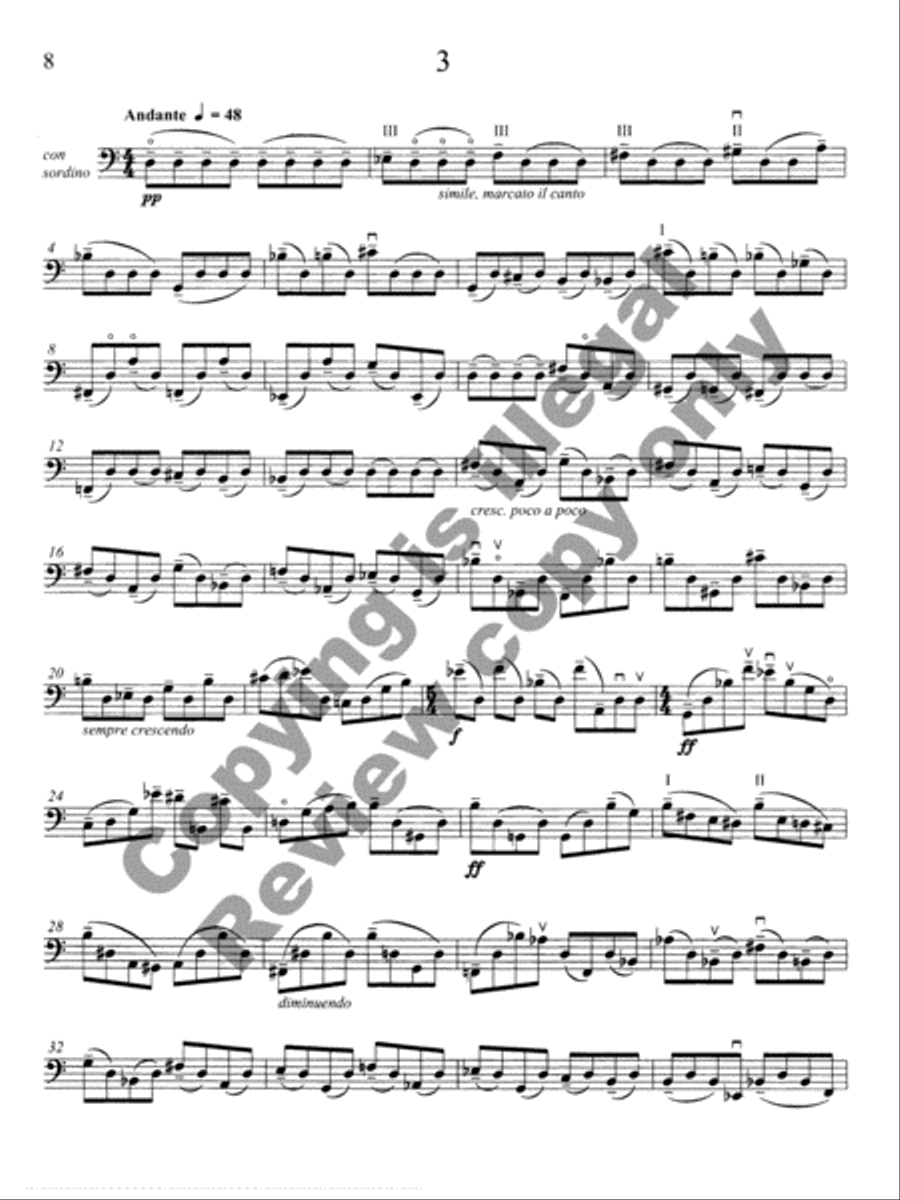 For Solace in Solitude (Cello version) Cello Solo scores gallery preview page 6