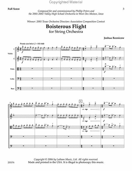 Boisterous Flight for String Orchestra - Score image number null