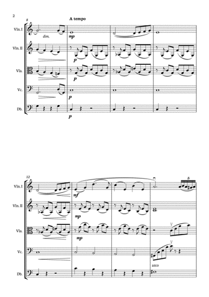 Ave Maria (Tanti anni prima) - String quintet / String Orchestra