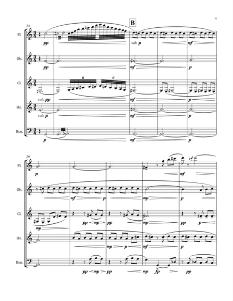 Slow Night Slow Night Woodwind Quintet scores gallery preview page 5