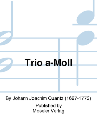Book cover for Trio a-Moll