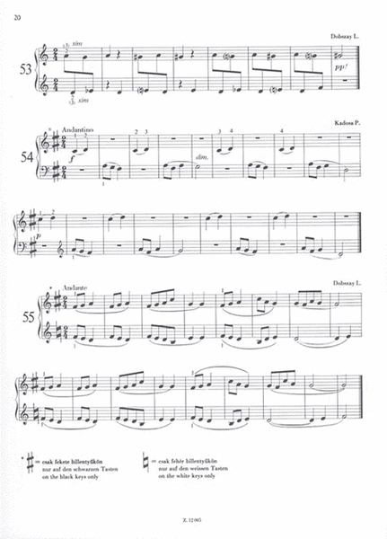 Ausgewählte Etüden I für Klavier