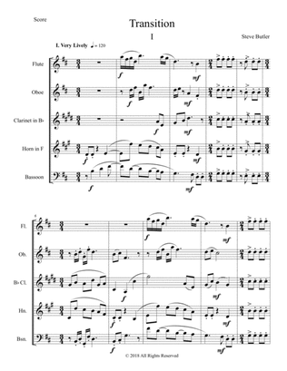 Transition I: Part I of a 3 movement work for woodwind quintet
