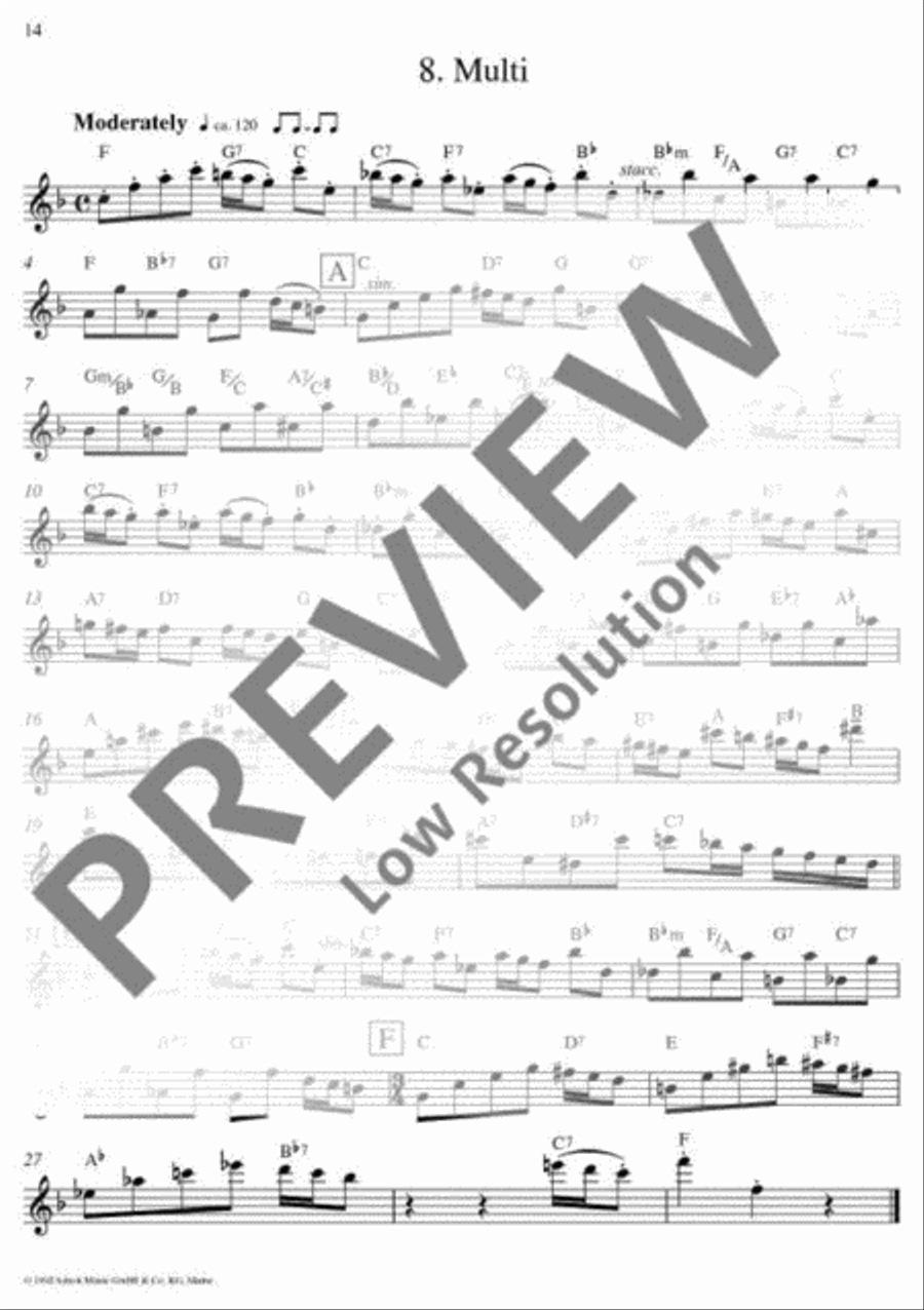 Flute Fun Flute Solo scores gallery preview page 13