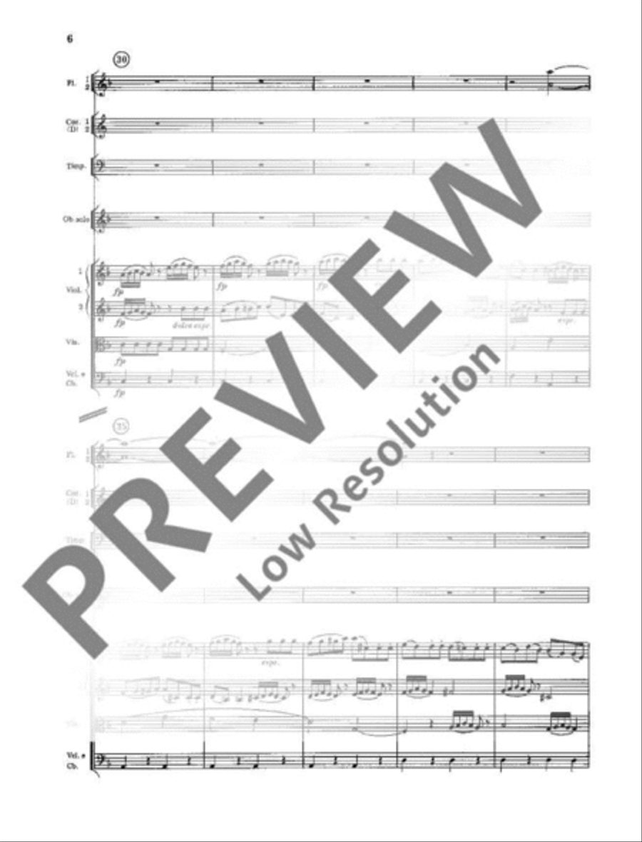 Concerto No. 1 D minor Orchestra scores gallery preview page 7