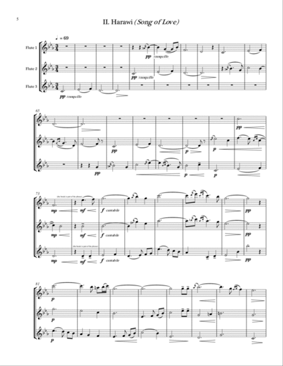 MUSICA PARA UN ANTIGUO GOBERNANTE (Music for an Ancient Ruler) for flute trio Flute Trio scores gallery preview page 6