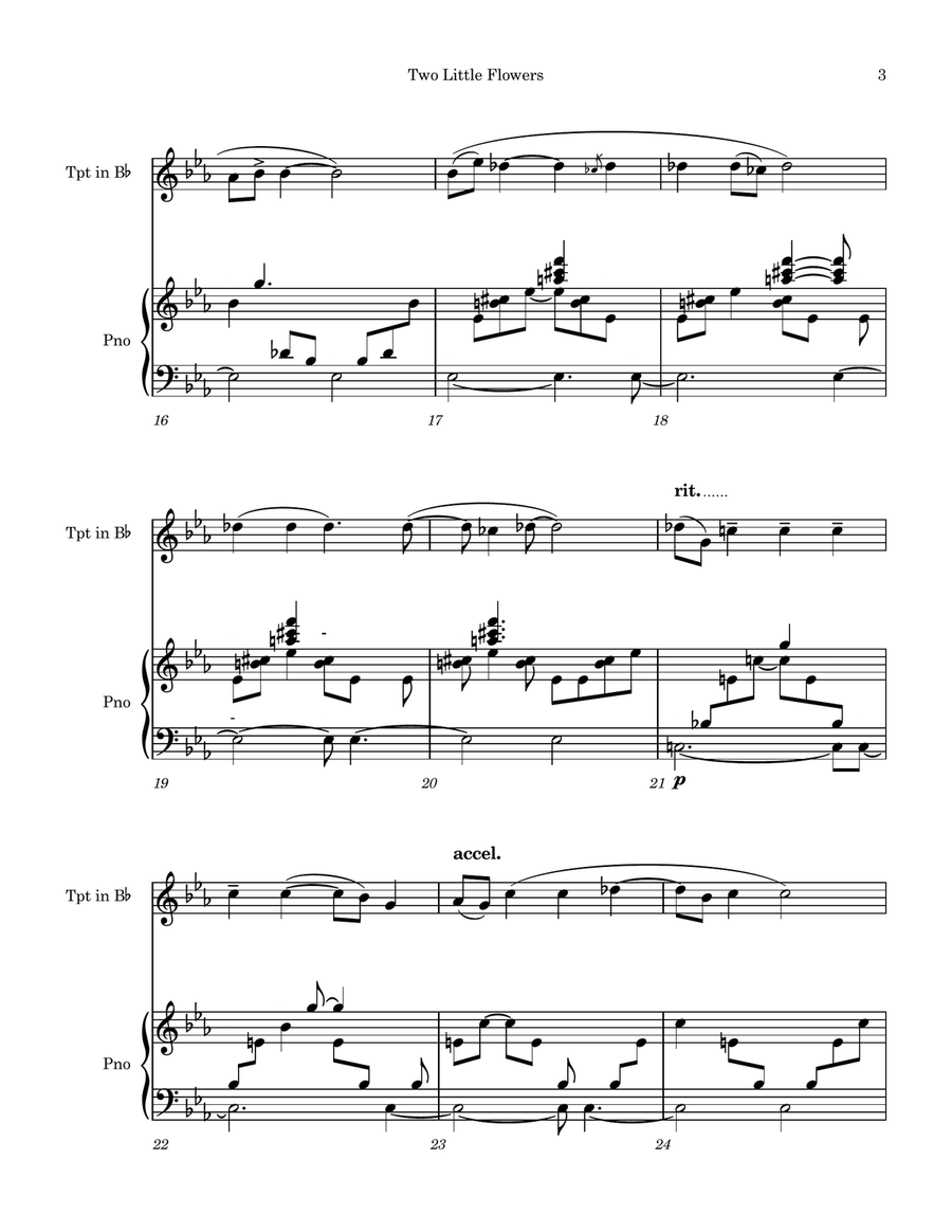 Two Little Flowers (And Dedicated to Them) B-Flat Trumpet scores gallery preview page 4