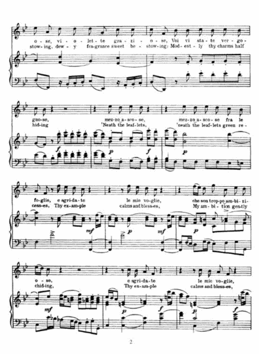 Alessandro Scarlatti - Le Violette