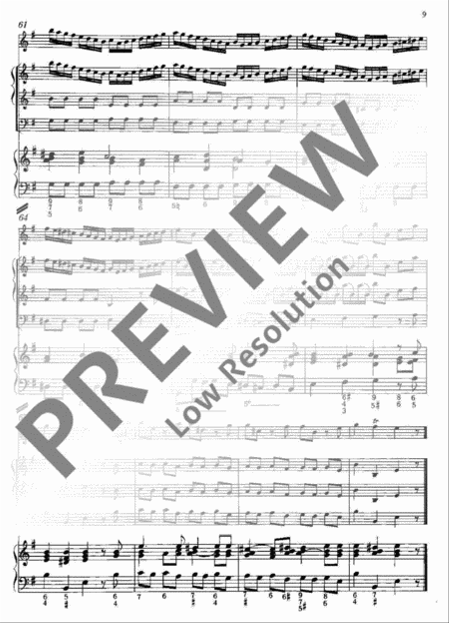 Concerto E minor Concerto E minor Flute Solo scores gallery preview page 10