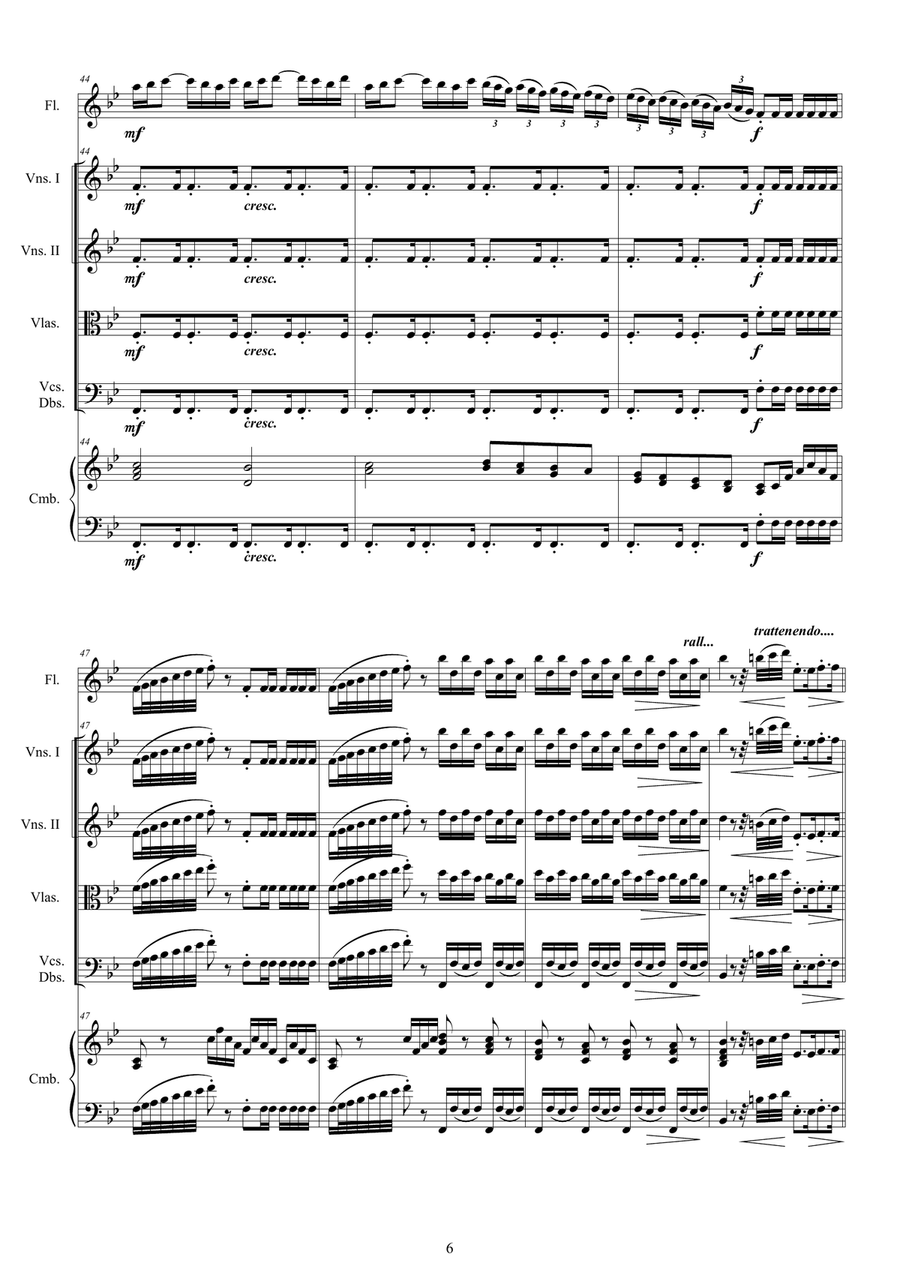 Vivaldi - Flute Concerto No.2 in G minor 'La Notte' Op.10 RV 439 for Flute, Strings and Cembalo Chamber Orchestra scores gallery preview page 6