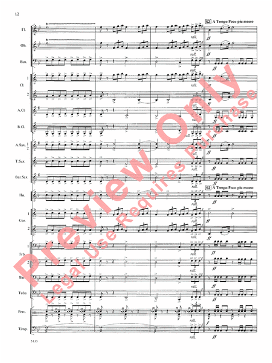 Procession of the Sardar Concert Band scores gallery preview page 13