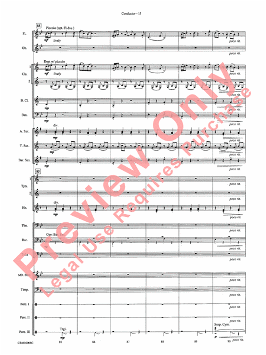 The Lord of the Rings: The Fellowship of the Ring, Highlights from Concert Band scores gallery preview page 17