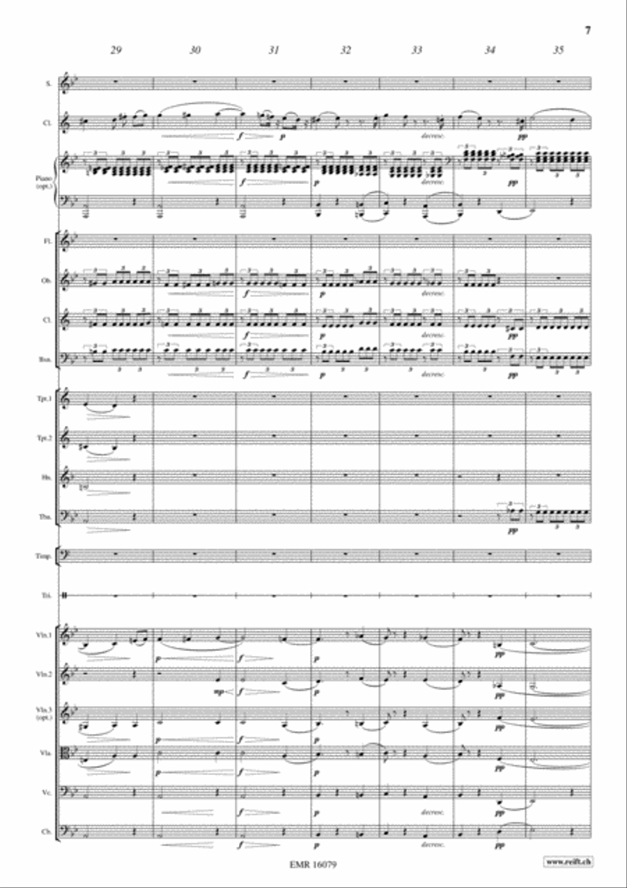 Der Hirt auf dem Felsen Der Hirt auf dem Felsen Orchestra scores gallery preview page 8