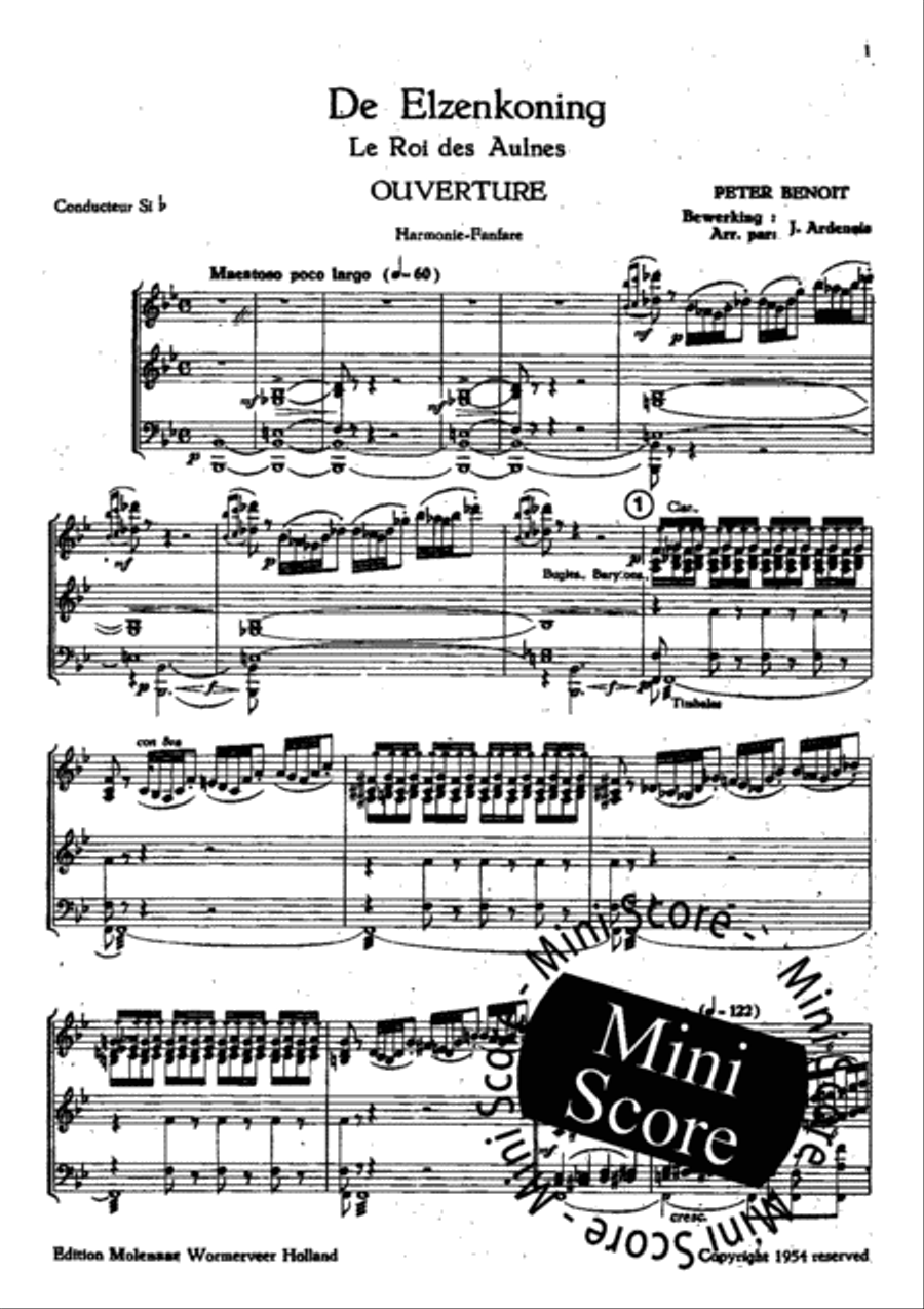 De Elzenkoning De Elzenkoning Fanfare Band scores gallery preview page 5