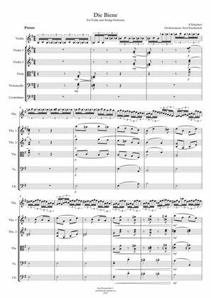 F.Schubert "Die Biene" For Violin and String Orchestra