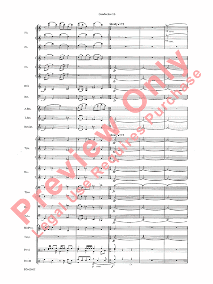 Chant Rituals Chant Rituals Concert Band scores gallery preview page 19