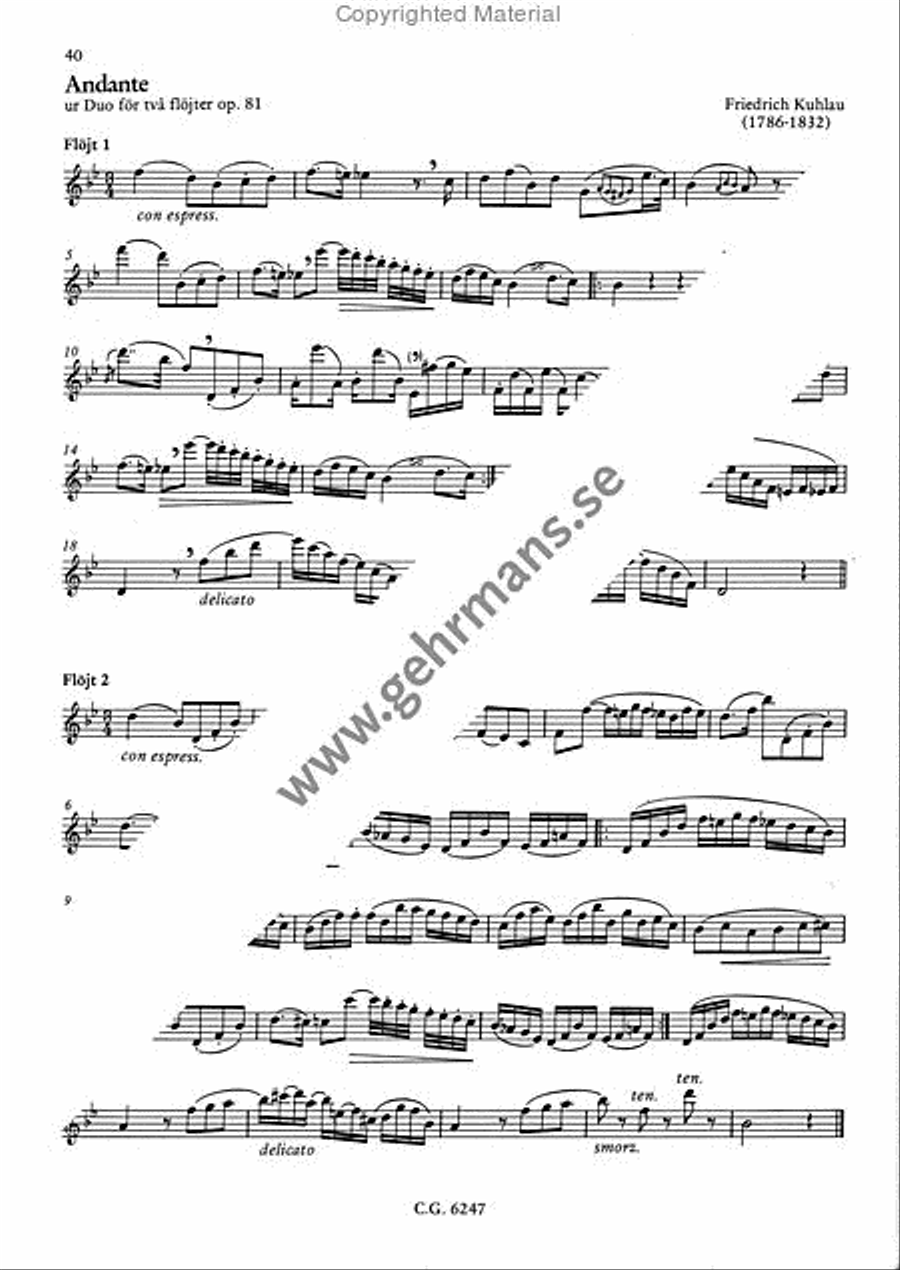 Flojtspel 1 Flute Duet scores gallery preview page 9
