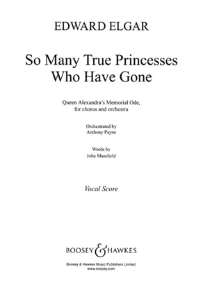 Book cover for So Many True Princesses