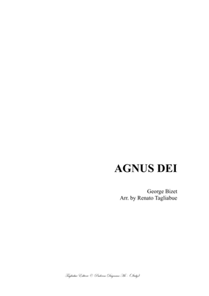 Book cover for AGNUS DEI - Bizet - Arr. for Soprano, Alto and Piano/Organ