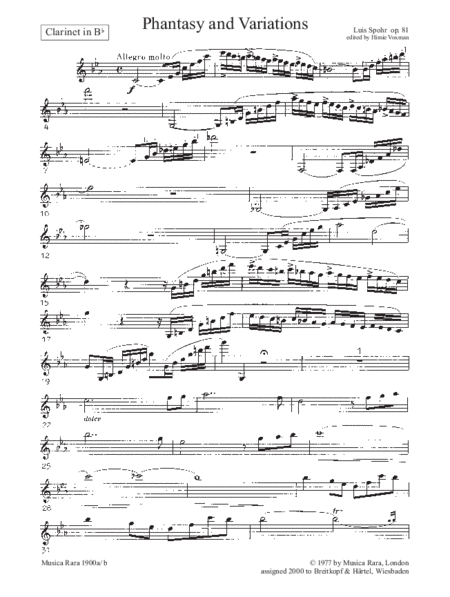 Phantasy and Variations on a Theme of Danzi Op. 81
