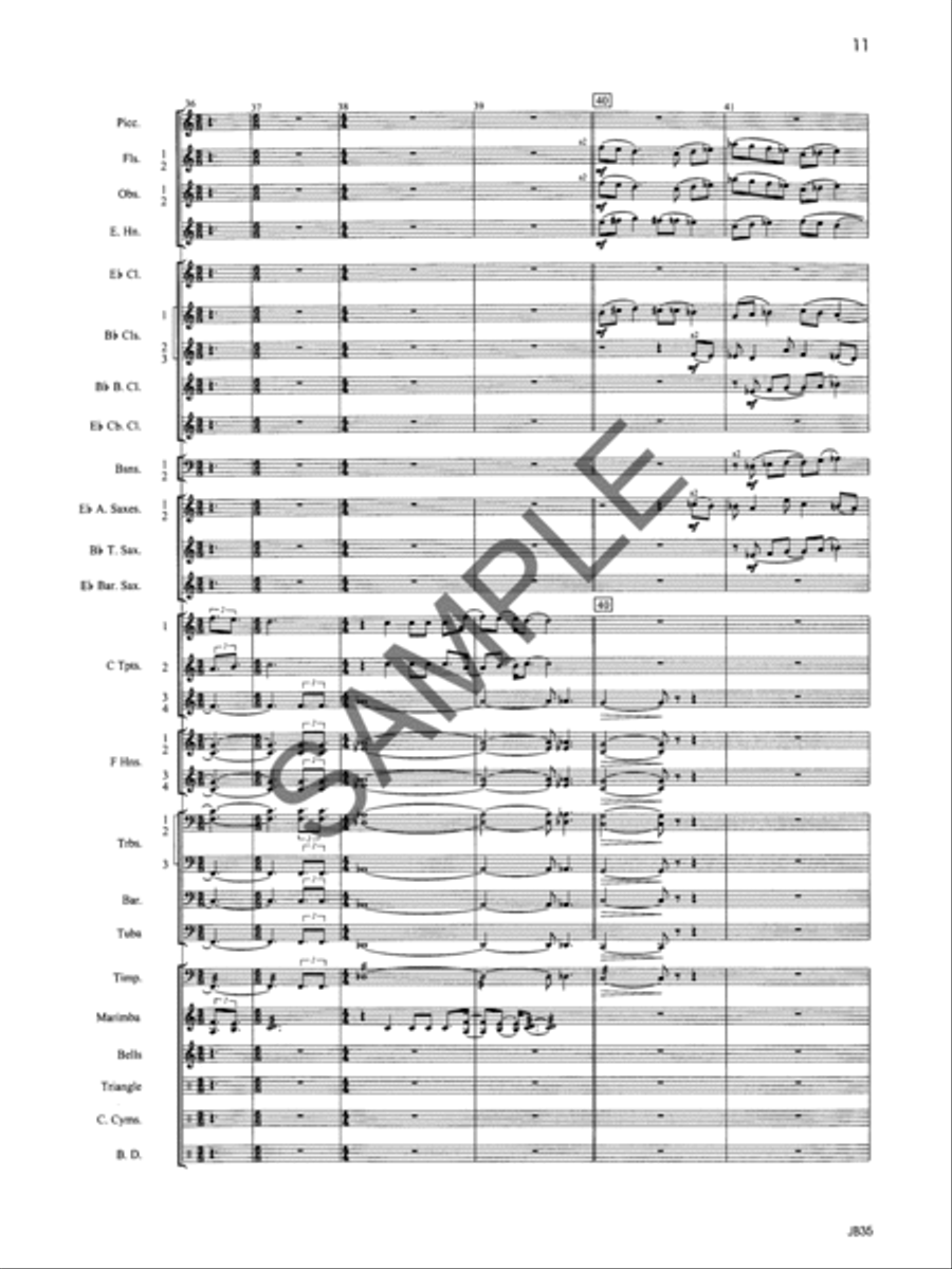 Aubrey Fanfare - Score Concert Band scores gallery preview page 24