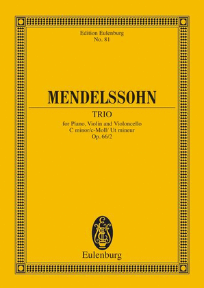 Book cover for Piano Trio C minor