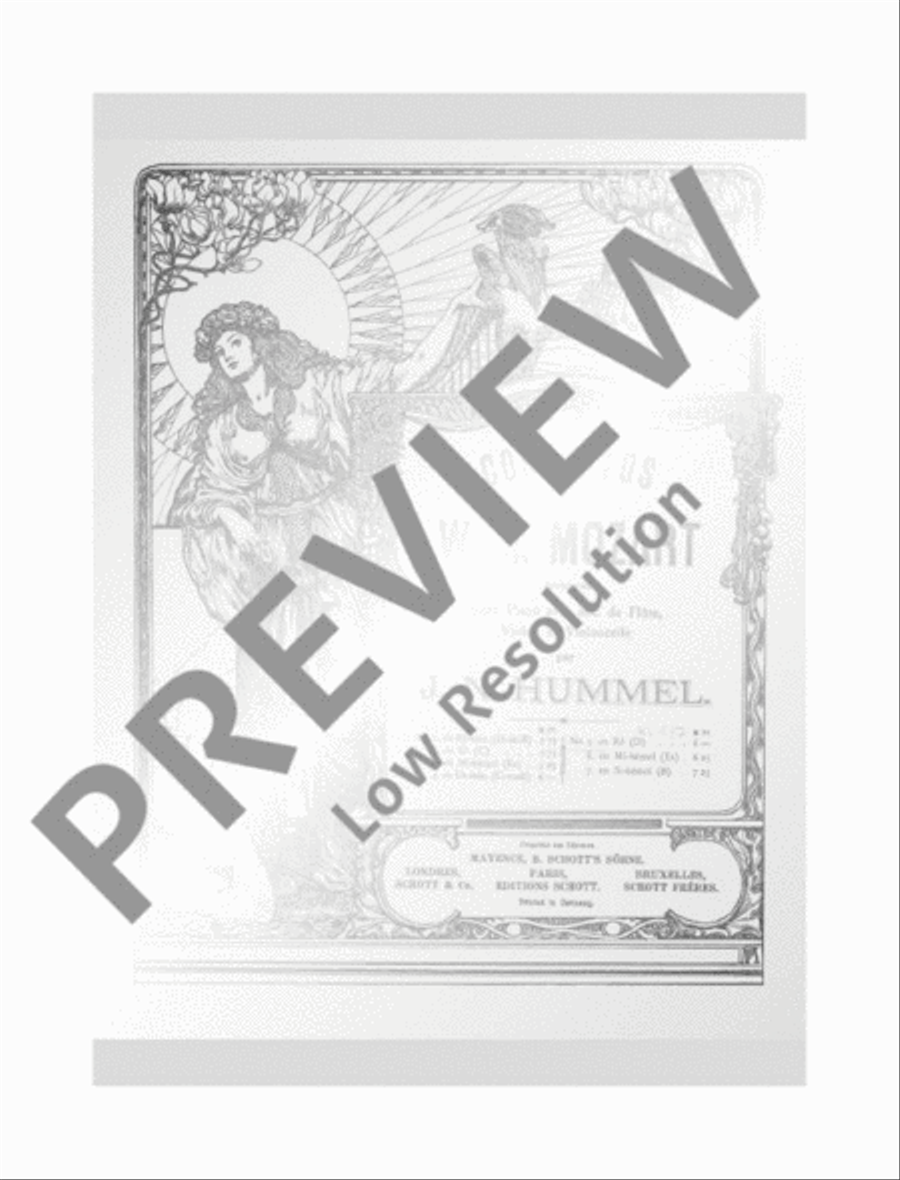 Concerto No.5 D major Flute scores gallery preview page 2