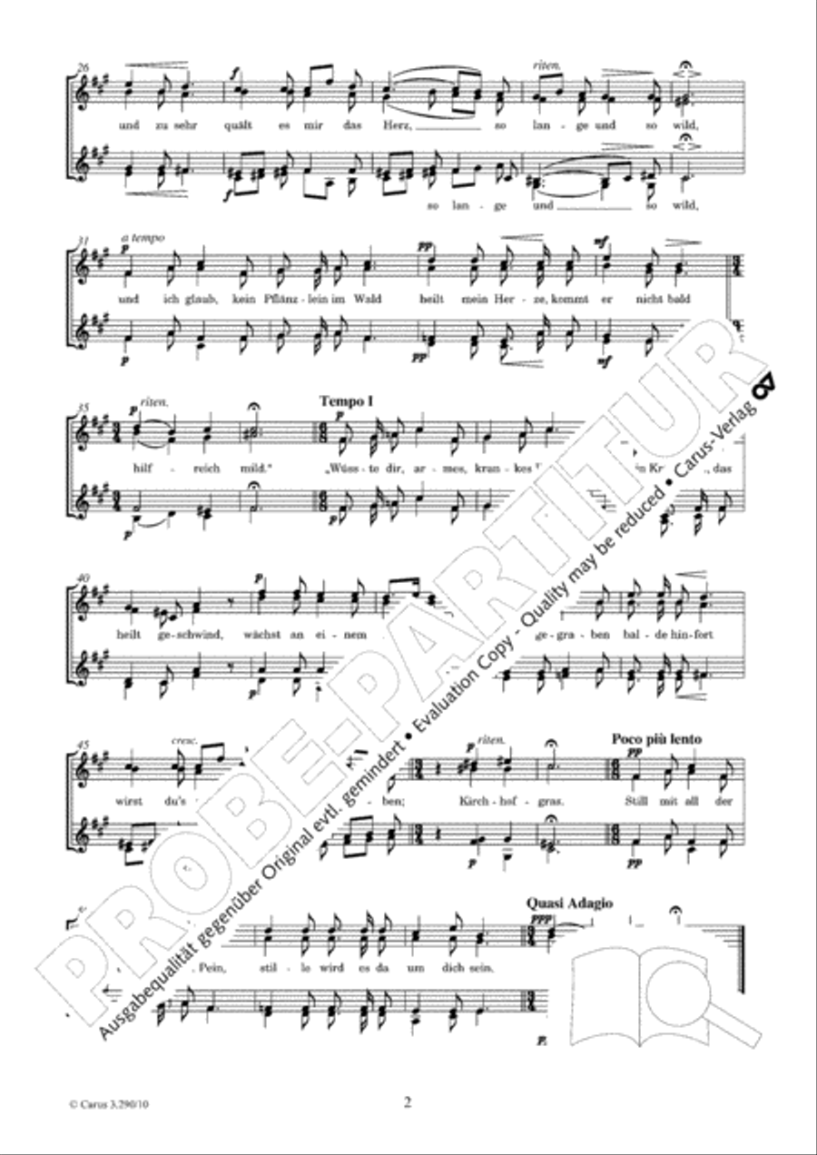 Das kranke Magdlein Das kranke Magdlein SSAA scores gallery preview page 3
