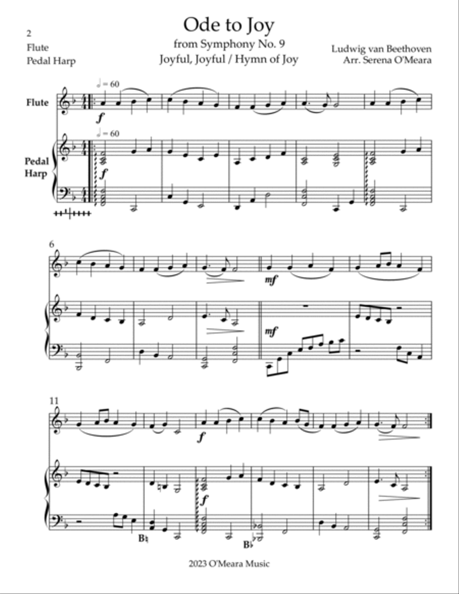 Ode to Joy, Duet for Flute & Pedal Harp Flute scores gallery preview page 2