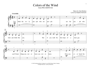 Colors Of The Wind (from Pocahontas) (arr. Christopher Hussey)