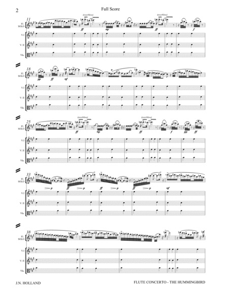 Flute Concerto The Hummingbird Full Orchestral Score and Individual Parts image number null