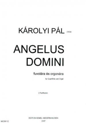 Book cover for Angelus Domini