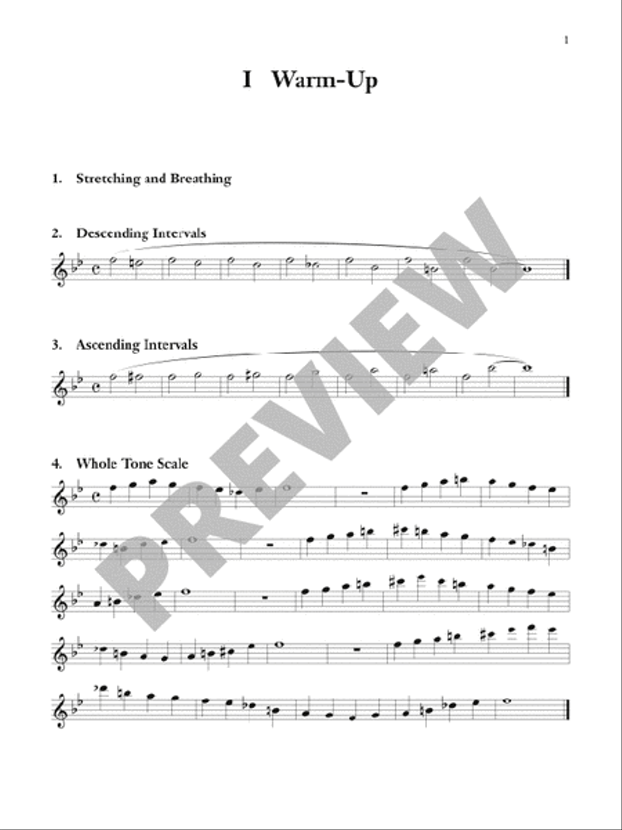 Habits of a successful musician outlet flute