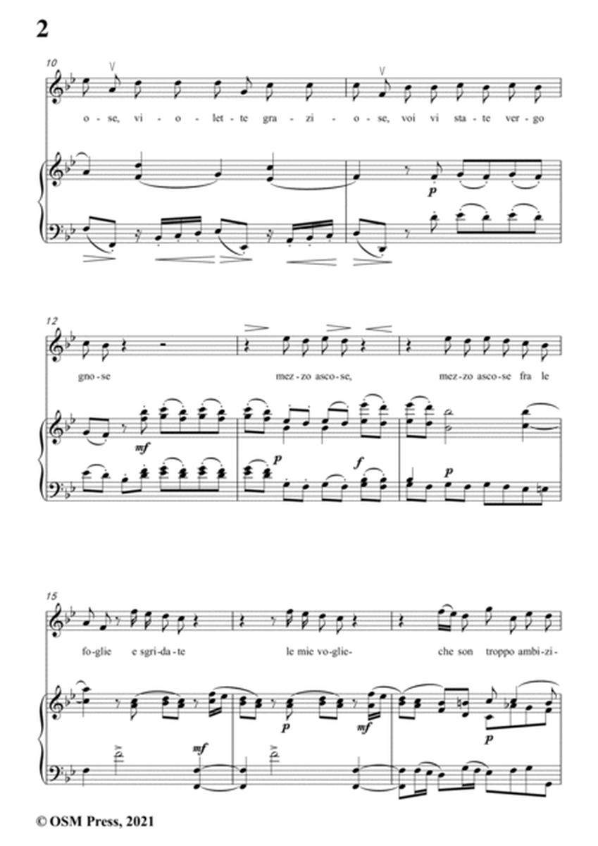 Scarlatti-Le Violette in B flat Major,from Pirro e Demetrio,for Voice&Piano image number null