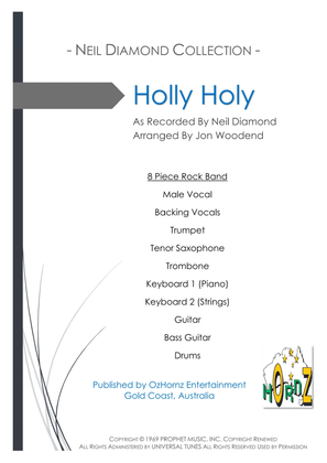 Book cover for Holly Holy