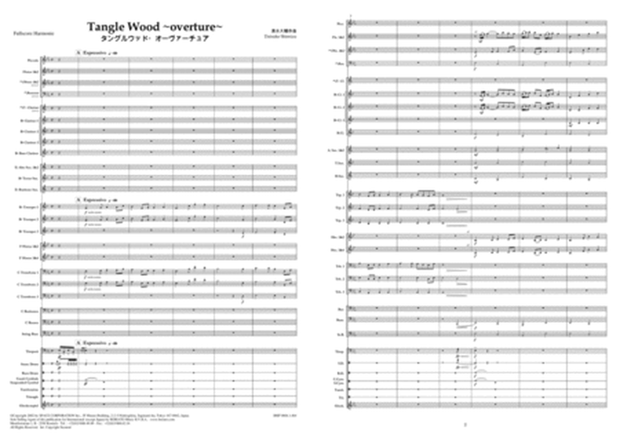 Tangle Wood Overture