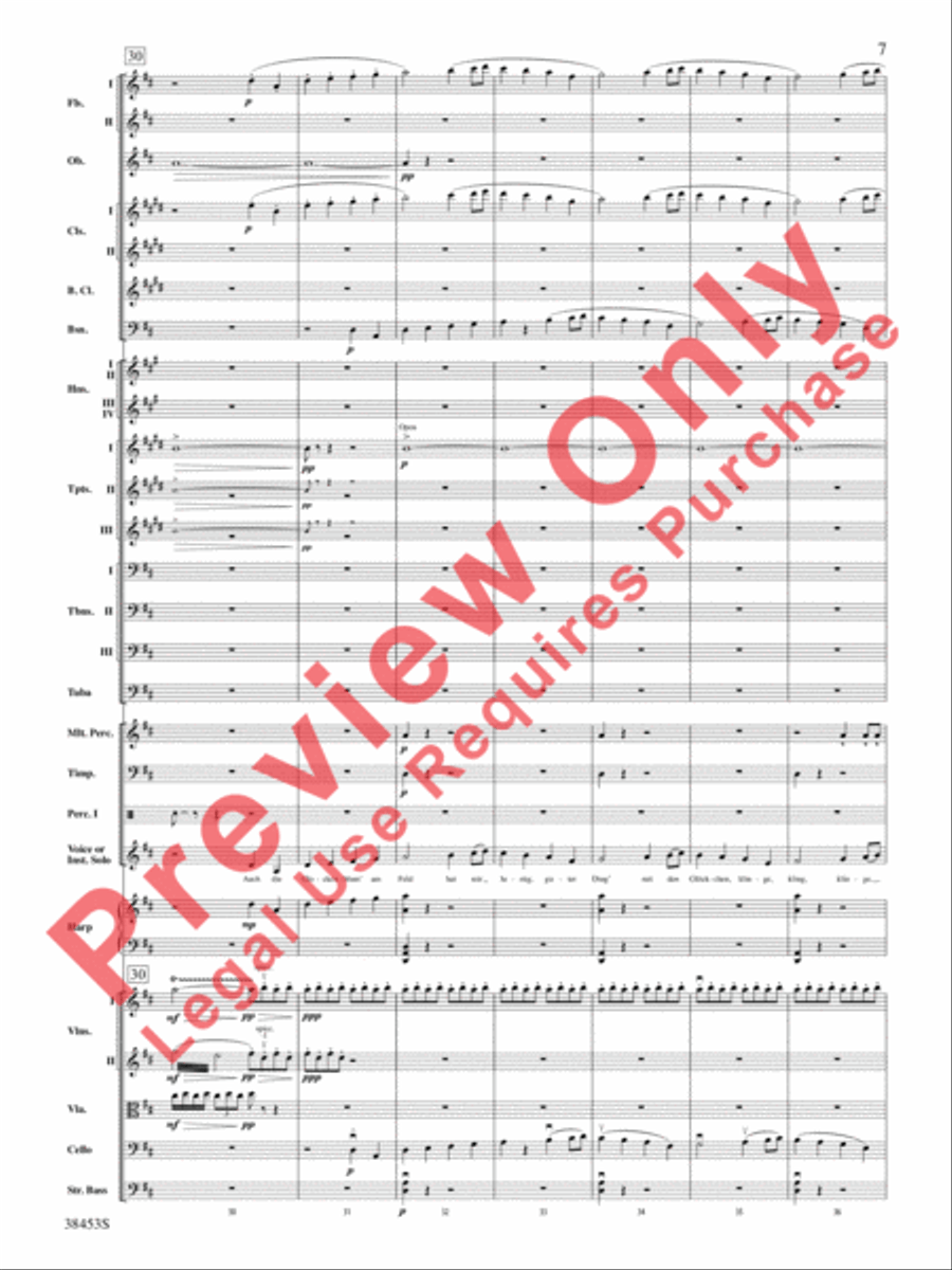 Ging heut Morgen übers Feld Full Orchestra scores gallery preview page 8