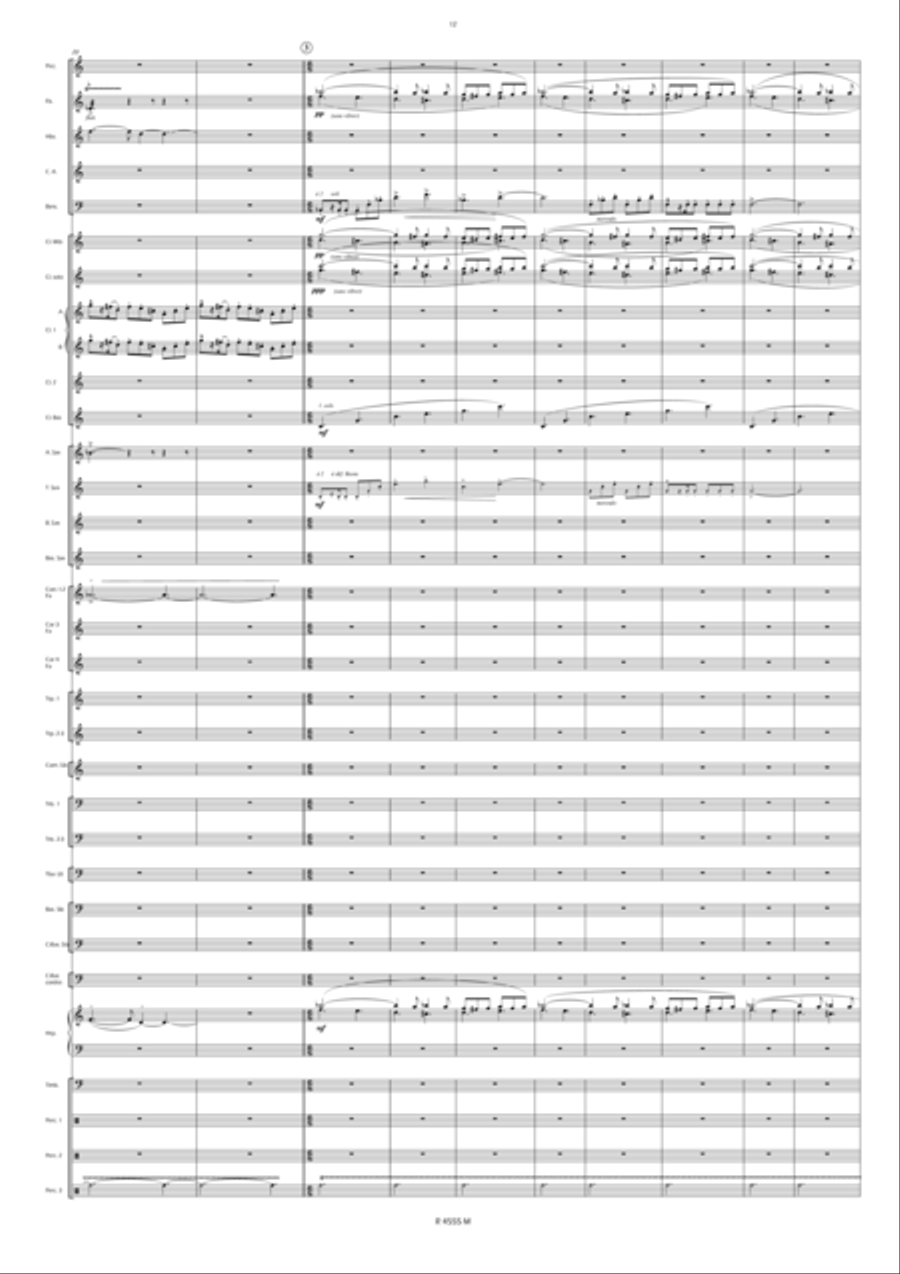 Noces de Cendres Concert Band scores gallery preview page 11