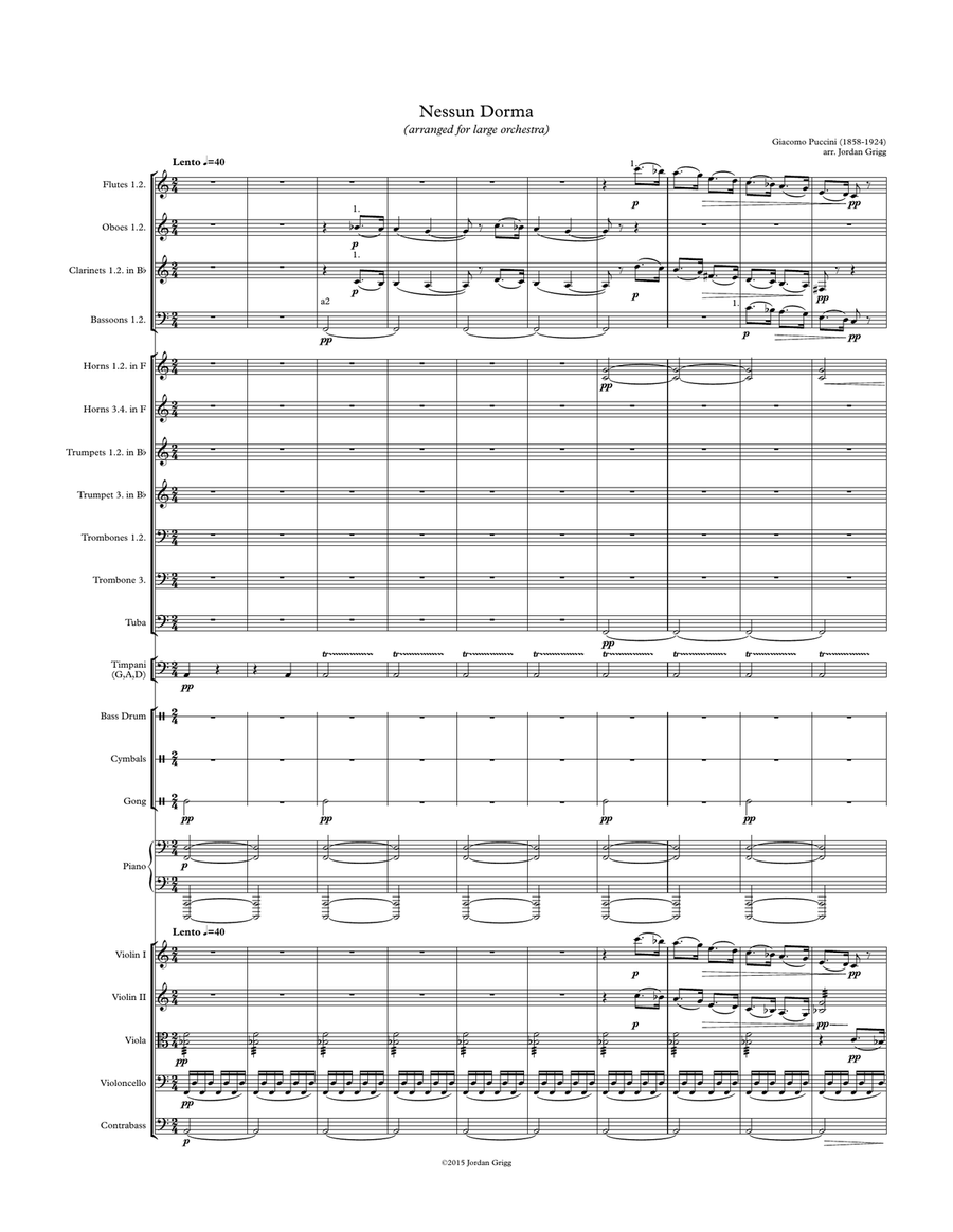 Nessun Dorma (arranged for large orchestra) Full Orchestra scores gallery preview page 1