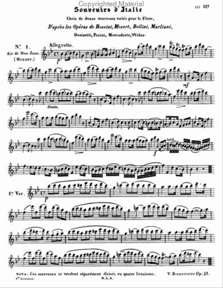 Methods & Treatises Flute - 7 volumes - France 1800-1860 Flute scores gallery preview page 4