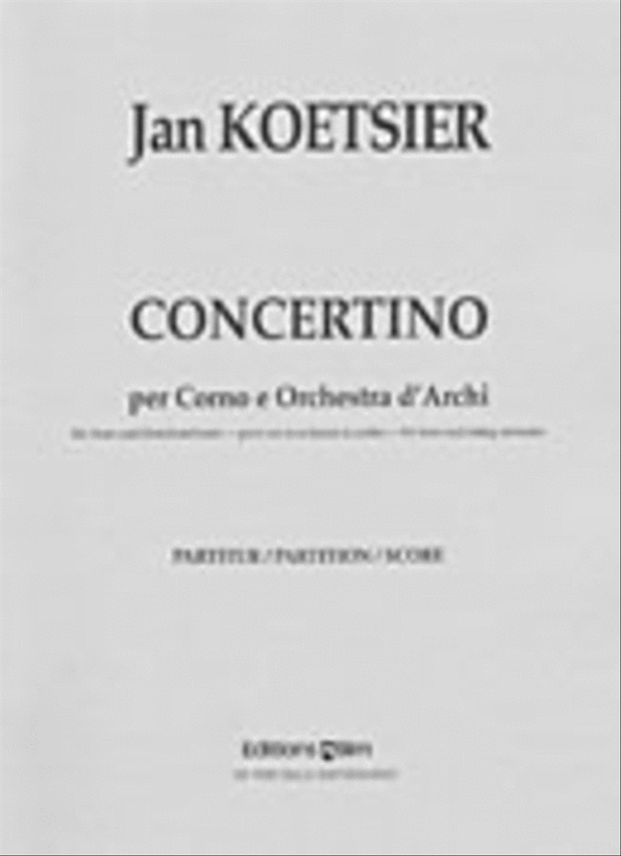 Concertino String Orchestra scores gallery preview page 1